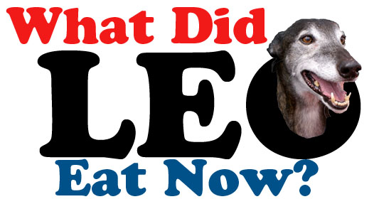 What Did Leo Eat?